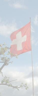 Swiss Flag